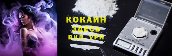 МДПВ Абаза