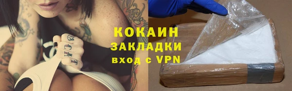spice Дубна