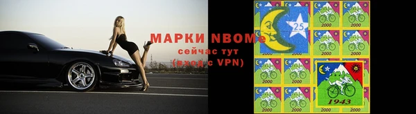 амф Дубовка