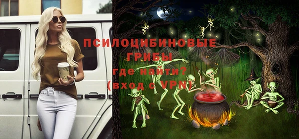 дмт Дрезна