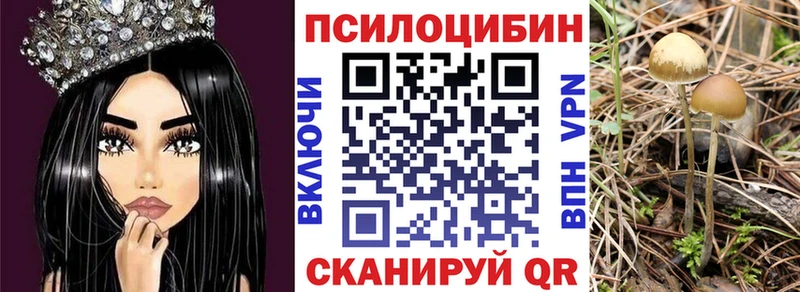 Галлюциногенные грибы Magic Shrooms Беломорск